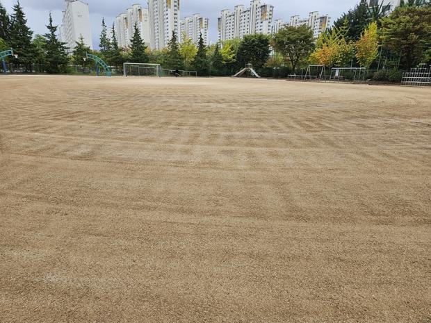 양구중학교 운동장 라인 포인트 제거: 전문 시공으로 깨끗하고 안전한 공간 만들기