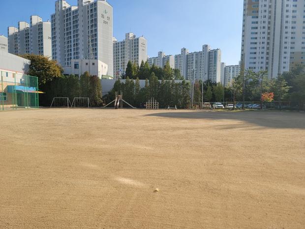 양구중학교 운동장 잡초 제거: 전문 시공으로 건강하고 아름다운 운동장 만들어보세요!