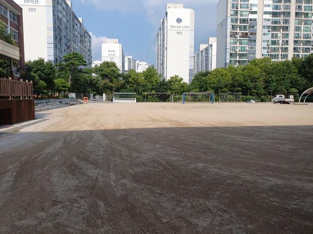 안성중학교 운동장 잔디 제거, 케이스터디움 최신 기술로 완벽하게!