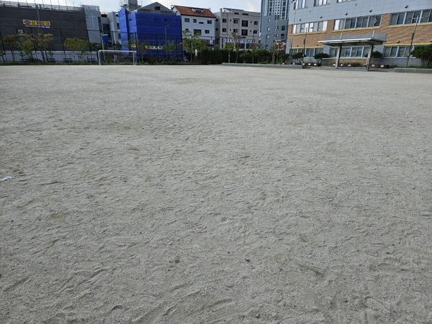 안성어린이집운동장 라인 포인트 제거: 핵심 시공 전략, 케이스터디움으로 완벽하게!
