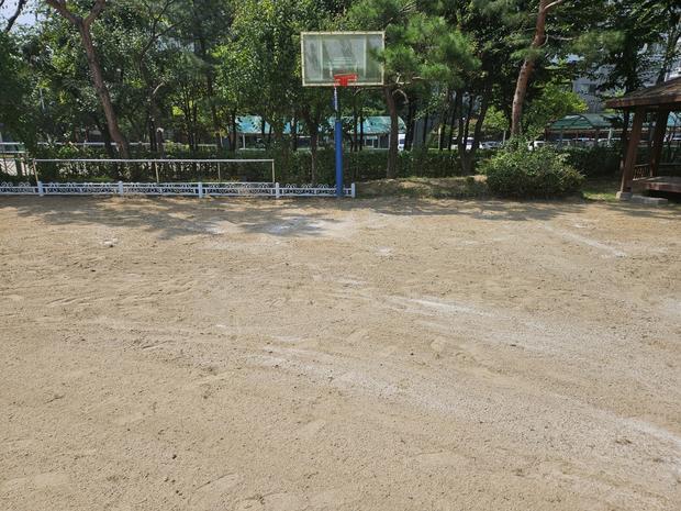 파주초등학교 운동장 포크레인 작업, 전문가 케이스터디움으로 신뢰 높게!