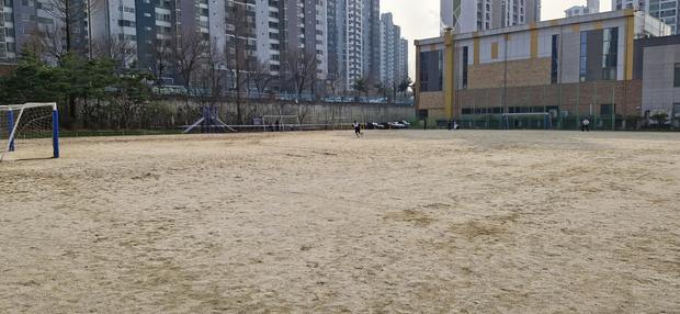 파주초등학교 운동장 재설, 전문 시공으로 탁월한 결과!