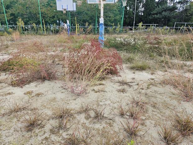 파주중학교운동장,  rusak한 표면 정비! 케이스터디움 프로젝트 & 건강한 운동 환경