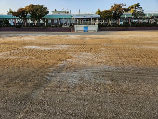 파주중학교운동장잡초제거: 전문 시공으로 깨끗하고 건강한 운동 공간 만들어보세요!