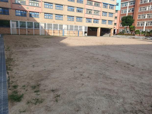 파주고등학교 운동장 잡초 제거: 전문 시공으로 완벽한 쾌적 공간 만들기!
