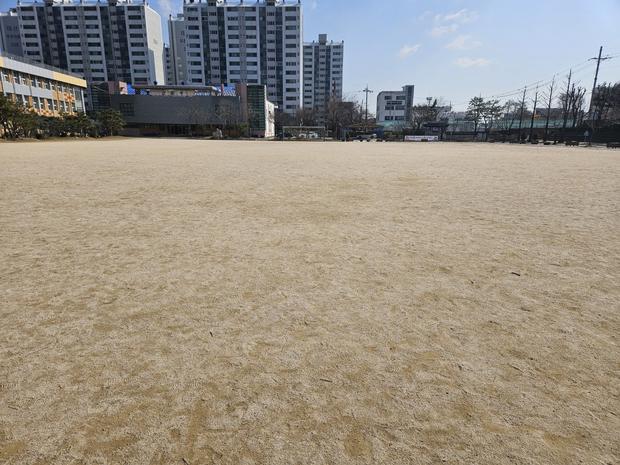 하남중학교 운동장 잡초 제거, 전문 케이스터디움으로 완벽하게!