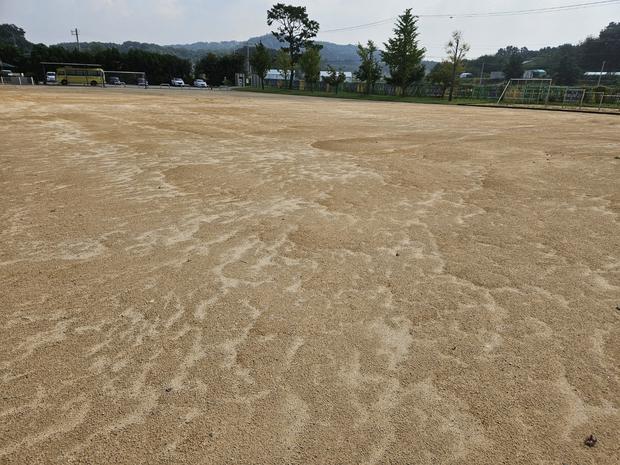 하남고등학교 운동장 포크레인, 케이스터디움으로 혁신적인 시공!