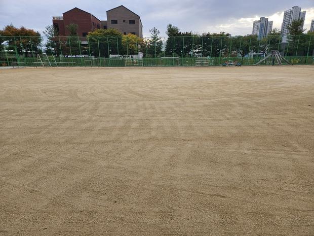 양양초등학교 운동장 잔디 제거, 전문 케이스터디움으로 깨끗하고 안전한 환경 만들어보세요!