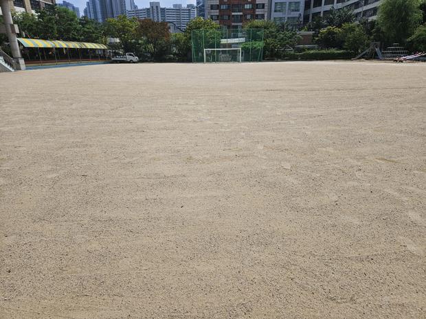 양양초등학교 운동장 잡초 제거, 케이스터디움으로  '깨끗하고 안전한 놀이터' 만들어보세요!