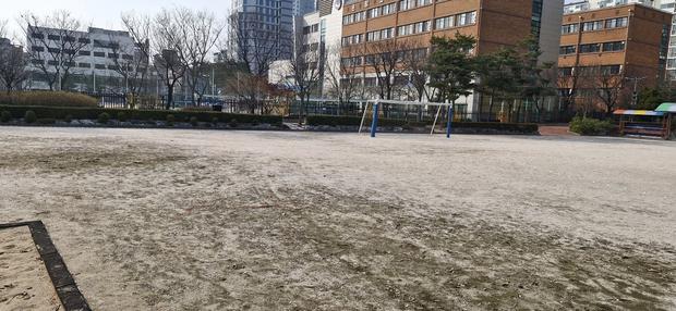 양양중학교 운동장 잔돌 제거, 전문 케이스터디움으로 안전하고 깨끗한 공간 만들기