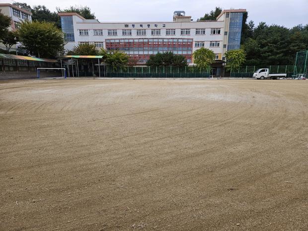 양양중학교 운동장 마사토 충진공사: 혁신적인 시설관리로  아름다운 운동 공간 만들어줄까?