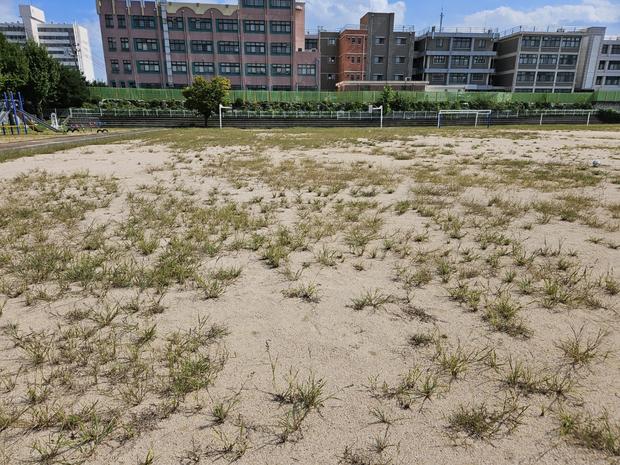 양양중학교 운동장 유지보수, 케이스터디움! ?  안전하고 신뢰할 수 있는 완벽한 서비스!