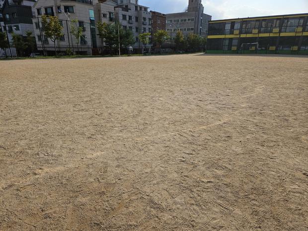 화성중학교 운동장 천일염 방지, 케이스터디움 전문 시공으로 완벽하게!