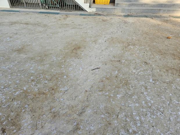 화성중학교 운동장 포크레인 작업, 이렇게 해결하세요! 관련 이미지