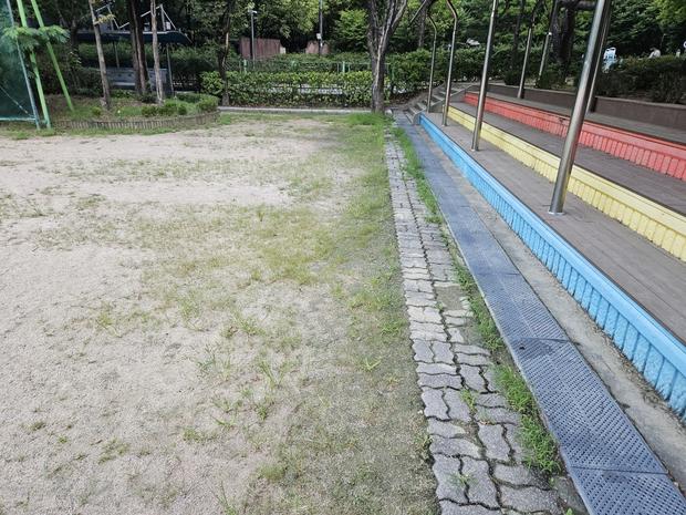 장흥중학교 운동장 그라인딩:  ? 잔디를 위한 전문가, 케이스터디움! 관련 이미지