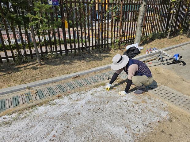 칠곡중학교 운동장 롤러 작업: 전문가 케이스터디움, 오래된 시설부터 신속하고 안전하게... 관련 이미지