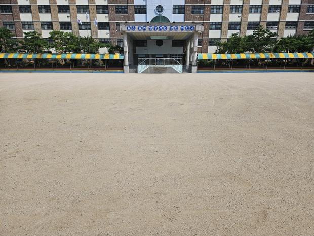 산천초등학교 운동장 포크레인 작업, 잔디 피로 완화!  ? 케이스터디움으로 신뢰할 수...