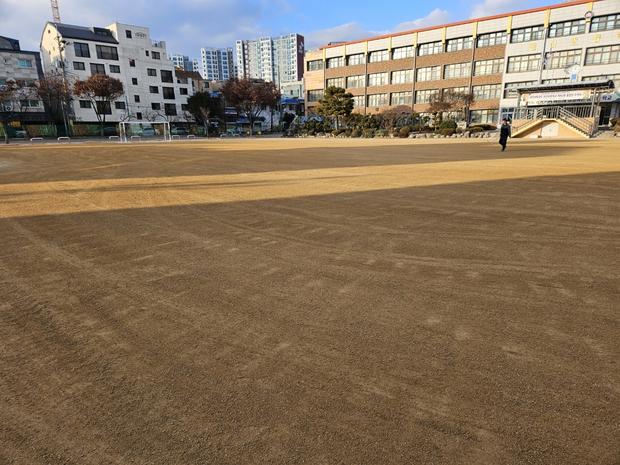화순초등학교 운동장 그라인딩: ?  강력한  안정성과 실용적인 디자인! 관련 이미지