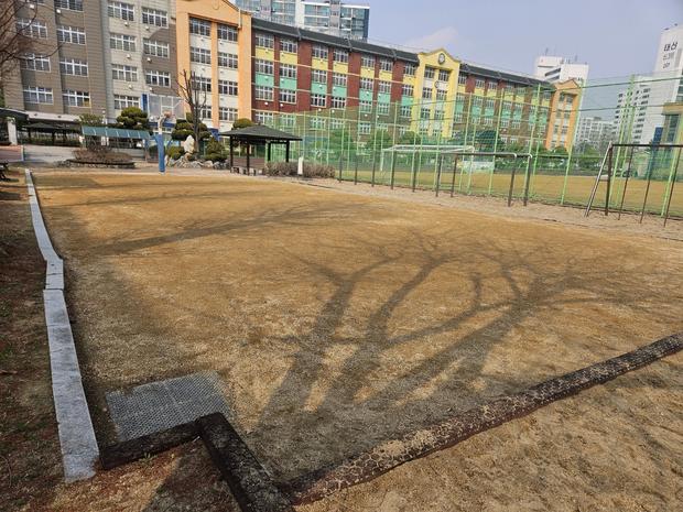 세종어린이집운동장 포크레인 작업, 걱정 끝! 전문 케이스터디움으로 완벽하게!