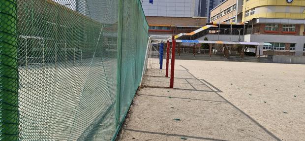 보령중학교 운동장 잔디 제거, 케이스터디움으로 최고 수준의 실질적인 안정성!