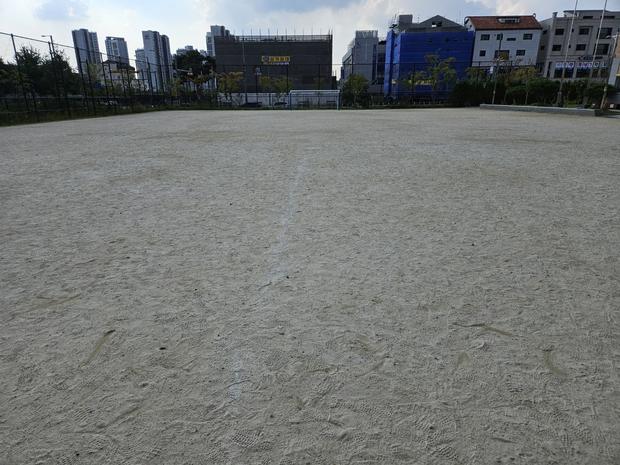 구리고등학교 운동장 잡초 제거, 전문 시공으로 정리하세요!