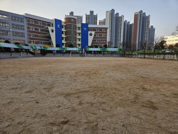 포천고등학교 운동장 표면 정비, 케이스터디움 전문가로 안전하고 즐거운 운동 공간 만들기!