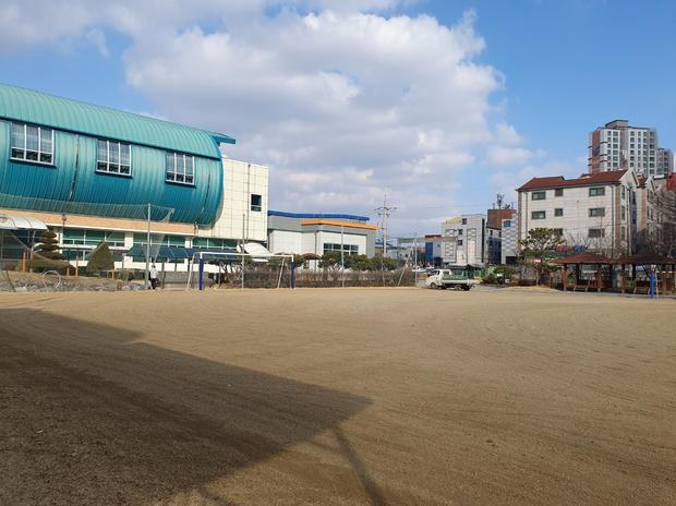 창녕중학교 운동장 잔돌 제거, 케이스터디움으로 신뢰성 있는 답변!