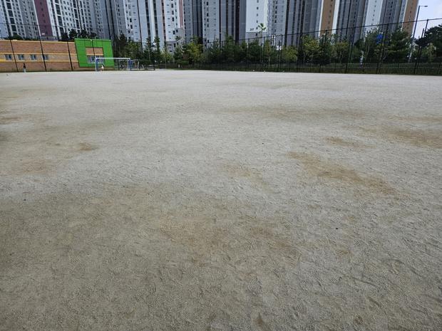 담양고등학교 운동장 표면 재정비! ?  전문 케이스터디움으로 실질적인 효과를 얻는 방법