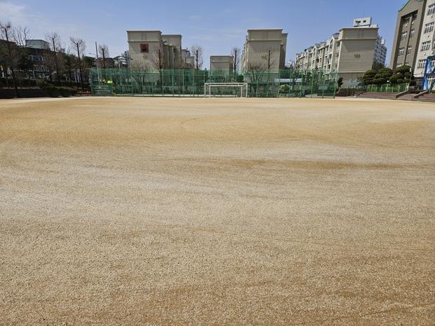밀양고등학교 운동장, 꼼꼼한 유지보수로 최상의 상태! 케이스터디움 만족!