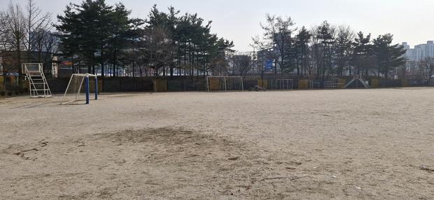 시흥중학교 운동장 다짐작업, 전문 시공으로 혁신적인 안전과 기능성!