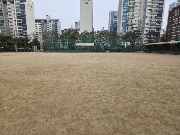 부안초등학교 운동장 천일염 살포, 전문 시공으로 신뢰할 수 있는 안전한 공간 만들어보세요!