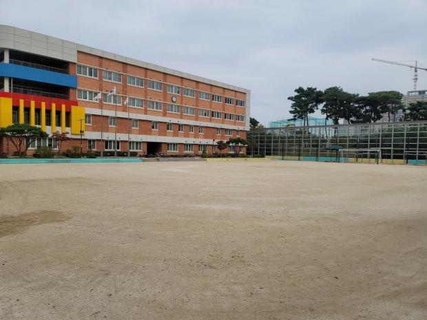 진도병설유치원 운동장 마사토보충 작업, 3년 만에 완벽하게! 학교 시설관리 전문 케이... 관련 이미지