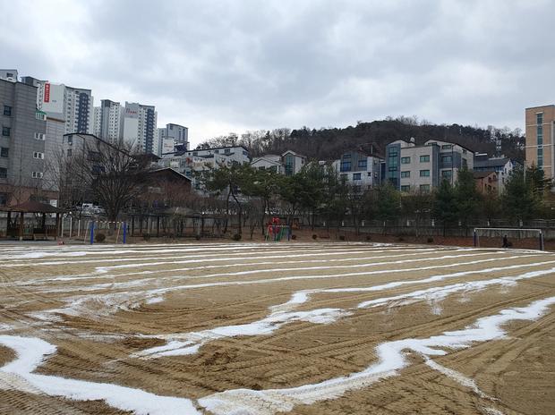 정선초등학교 운동장 제초, 케이스터디움으로 믿음직스러운 건축업체와 함께하세요! 관련 이미지
