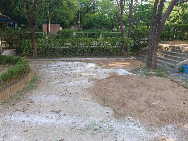 강진초등학교 운동장 다짐작업, 전문 케이스터디움으로 안전하고 장기적인 유지보수! 관련 이미지