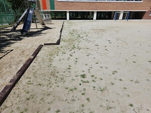 의왕초등학교 운동장 그라인딩, 깨끗하고 안전한 공간 만들어 줄 케이스터디움