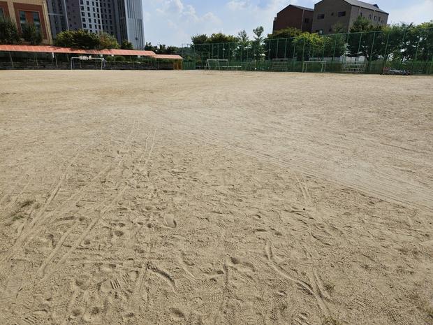 금산초등학교 운동장 마사토보충, 1년 만에 완벽하게! 전문 시공으로 안전하고 멋진 공...