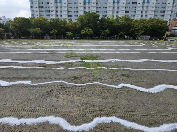부여초등학교 운동장 유지보수: 전문가 케이스터디움, 믿음직한 안전과 성능!