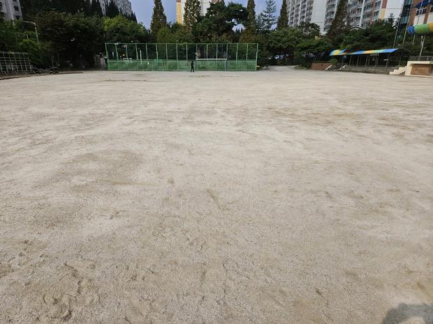 강원고등학교 운동장 롤러 작업, 전문 시공으로 안정적인 쾌적한 활용!