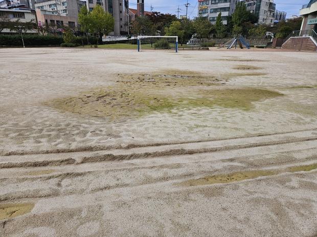 부안고등학교 운동장 유지보수 ❌  실패! ✅ 케이스터디움으로 건강한 운동장 만들어봐