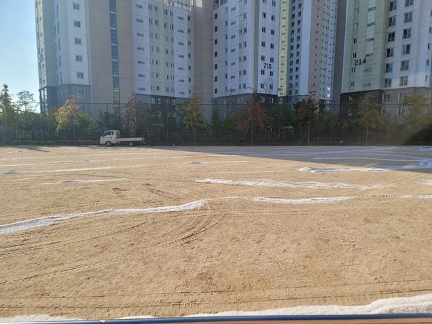 화천병설유치원운동장 제초작업, 전문 시공으로 빛나는 운동장 만들기!