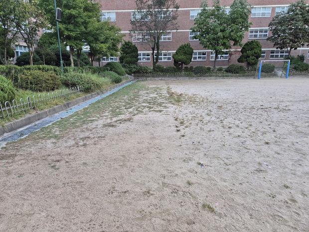 사천중학교 운동장 다짐작업, 전문가 케이스터디움이 해결하는 핵심!