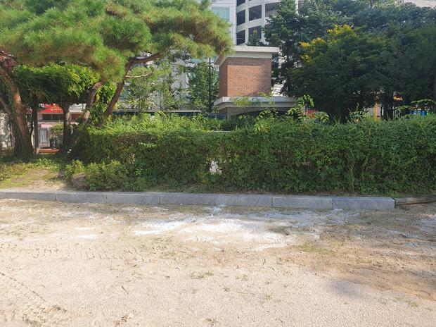 괴산초등학교 운동장 그라인딩, 튼튼하고 아름다운 잔디밭 만들어줄 '케이스터디움'!