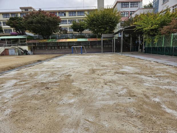 운동장 잡초 제거, 의령병설유치원 학교 운영 효율성 UP! 케이스터디움 전문가