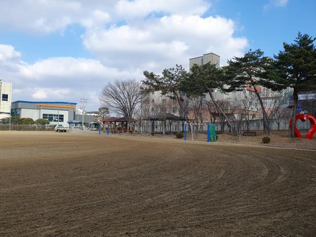 진도어린이집 운동장 잔디 제거, 케이스터디움 전문가로 꼼꼼하게 처리하세요!