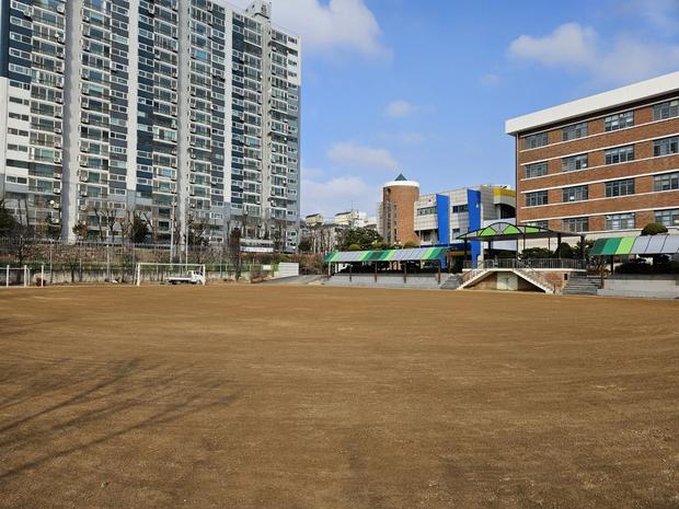 안동병설유치원 운동장 마사토보충, 20년 경력 전문 시공으로 건강한 교육환경 만들어봐!
