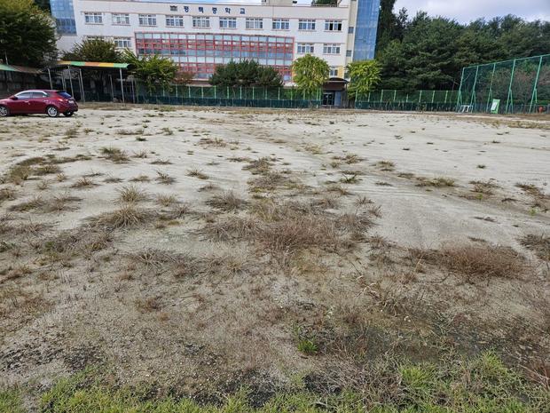나주중학교 운동장 롤러 작업, 전문 시공으로 최상의 결과를 위한 안전한 선택!