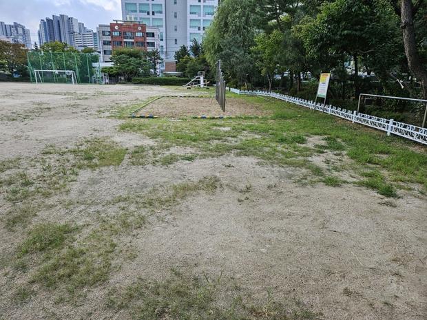 동해초등학교 운동장 포크레인 작업! ?  (전문 시공으로 건강한 놀이터 만들어 드립니다!)