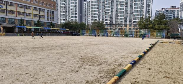 영덕초등학교 운동장 바브켓 작업, 전문 케이스터디움으로 건강한 놀이터 만들어보세요!