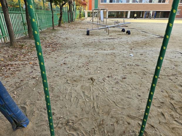 횡성초등학교 놀이시설 교체, 안전과 혁신을 위한 케이스터디움의 신뢰!