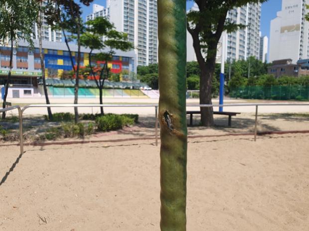 김포초등학교 놀이 시설 교체, 케이스터디움으로 깨끗하고 안전하게 만들어봐!